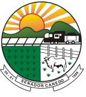 Câmara de Senador Canedo