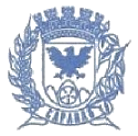 Prefeitura de Caparaó